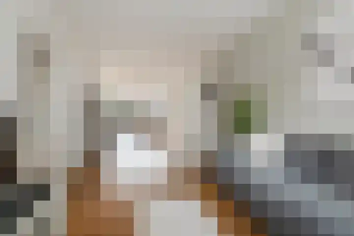 Rembrandtlaan 5 IJmuiden thumbnail 5