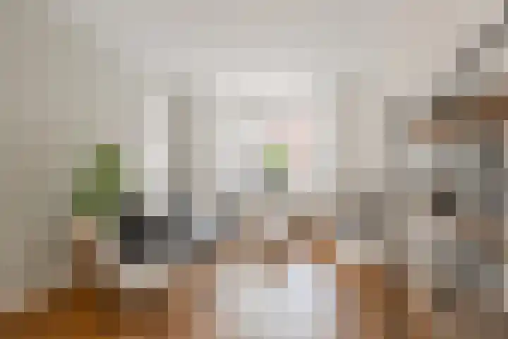 Rembrandtlaan 5 IJmuiden thumbnail 6