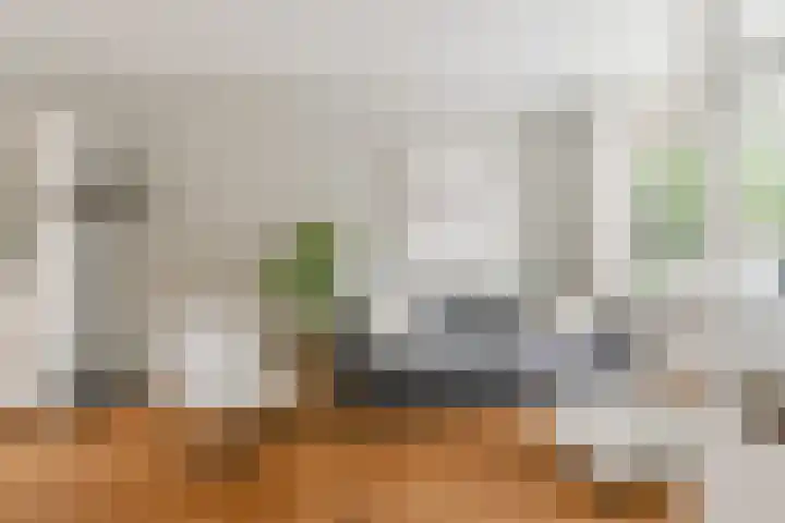 Rembrandtlaan 5 IJmuiden thumbnail 7
