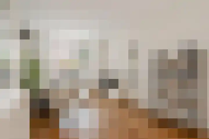 Rembrandtlaan 5 IJmuiden thumbnail 8