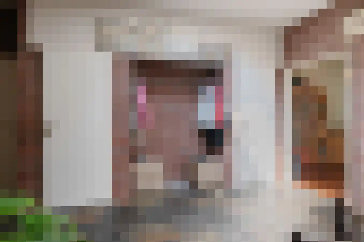 Rembrandtlaan 5 Nieuwe Pekela thumbnail 15