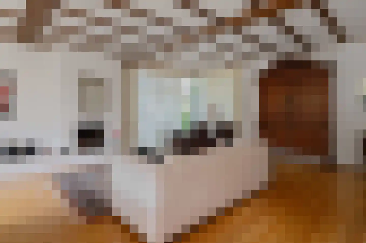 Rembrandtlaan 5 Nieuwe Pekela thumbnail 16