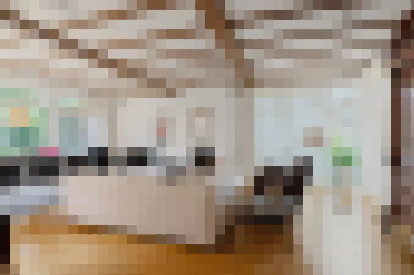 Rembrandtlaan 5 Nieuwe Pekela thumbnail 17