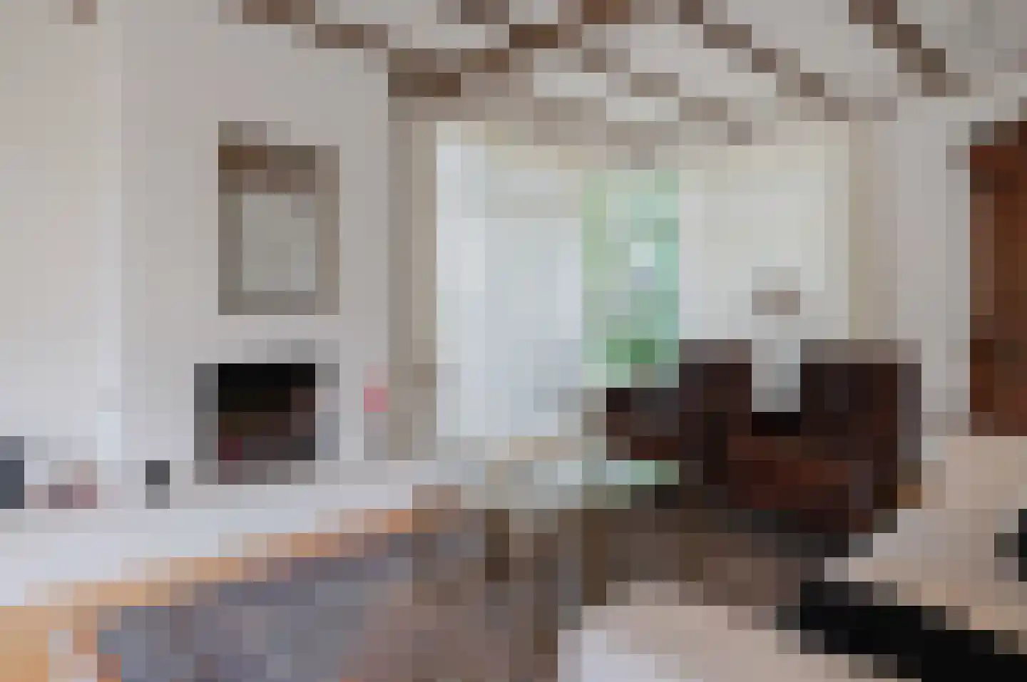 Rembrandtlaan 5 Nieuwe Pekela thumbnail 18