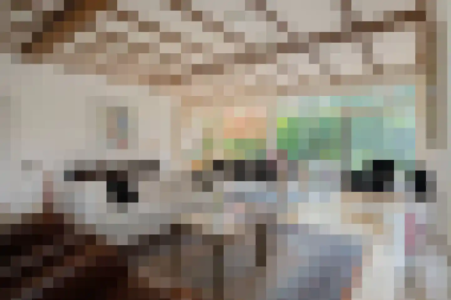 Rembrandtlaan 5 Nieuwe Pekela thumbnail 19