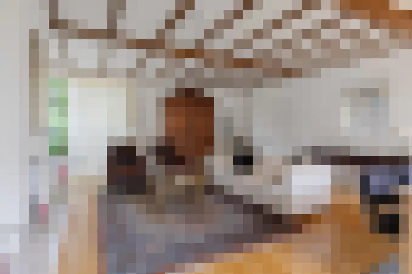 Rembrandtlaan 5 Nieuwe Pekela thumbnail 20