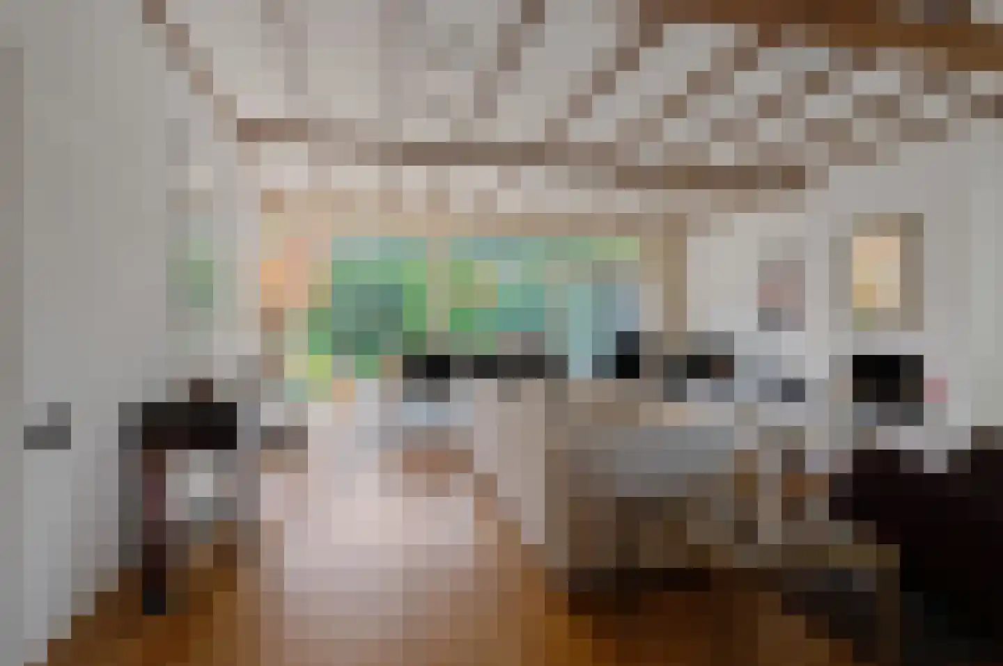 Rembrandtlaan 5 Nieuwe Pekela thumbnail 21