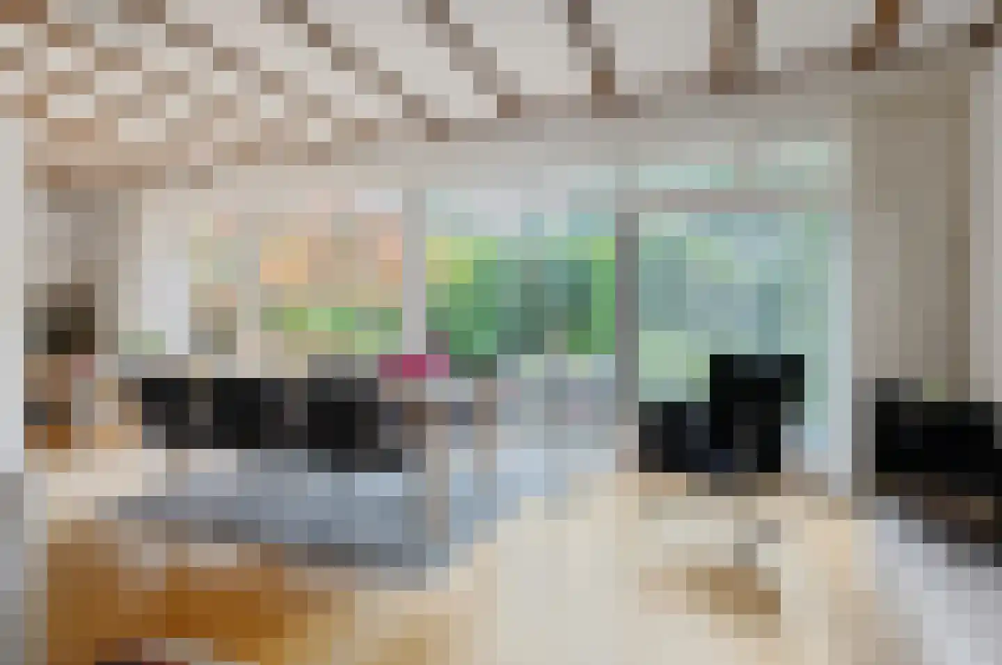 Rembrandtlaan 5 Nieuwe Pekela thumbnail 22