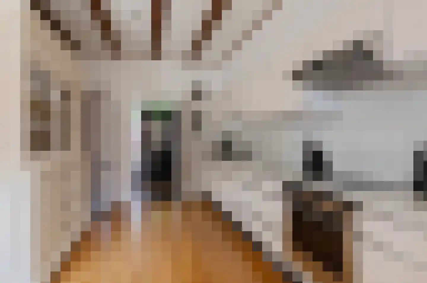 Rembrandtlaan 5 Nieuwe Pekela thumbnail 25