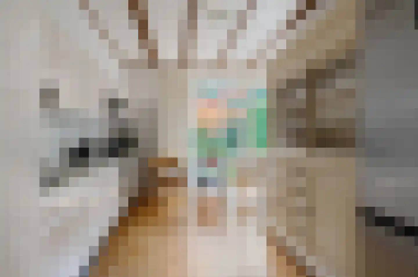 Rembrandtlaan 5 Nieuwe Pekela thumbnail 26