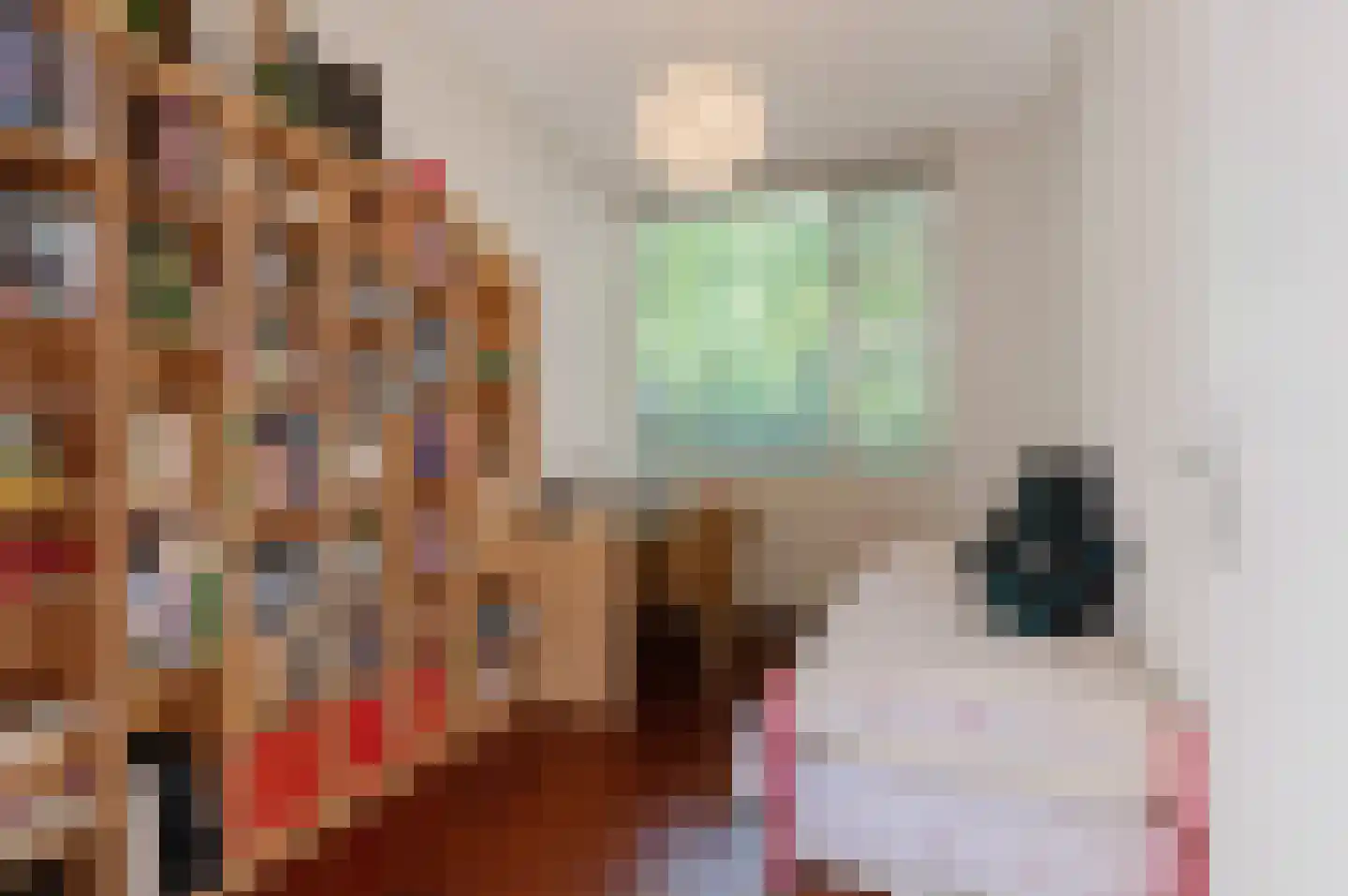 Rembrandtlaan 5 Nieuwe Pekela thumbnail 29