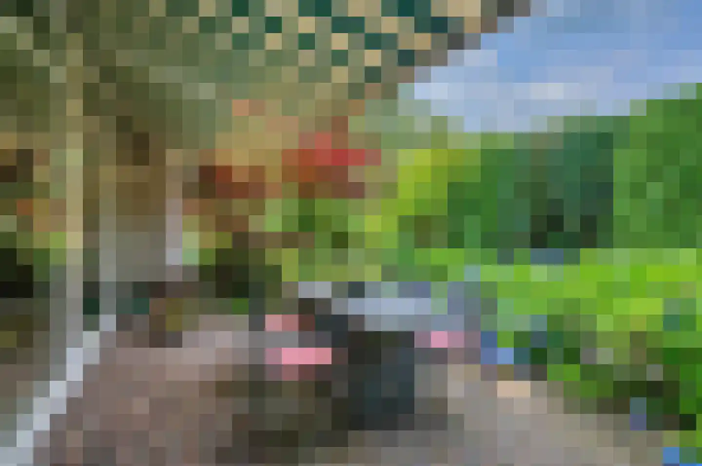 Rembrandtlaan 5 Nieuwe Pekela foto 3