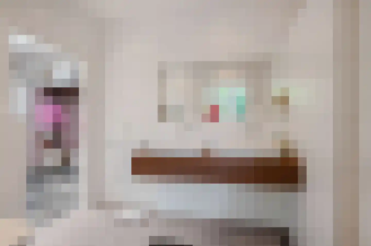 Rembrandtlaan 5 Nieuwe Pekela thumbnail 33