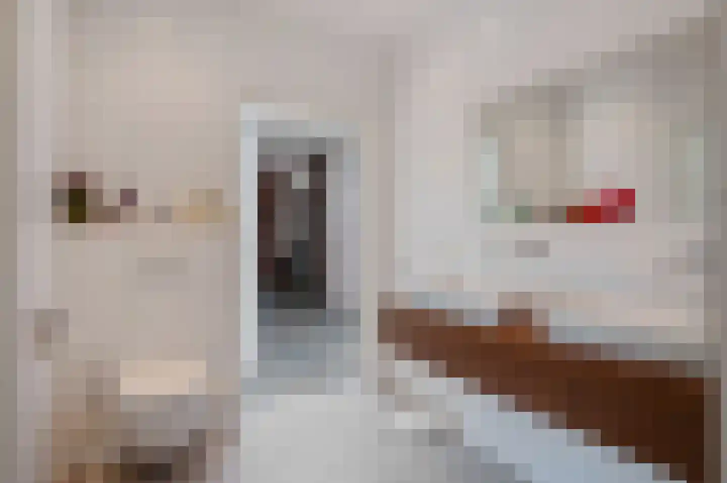 Rembrandtlaan 5 Nieuwe Pekela thumbnail 34