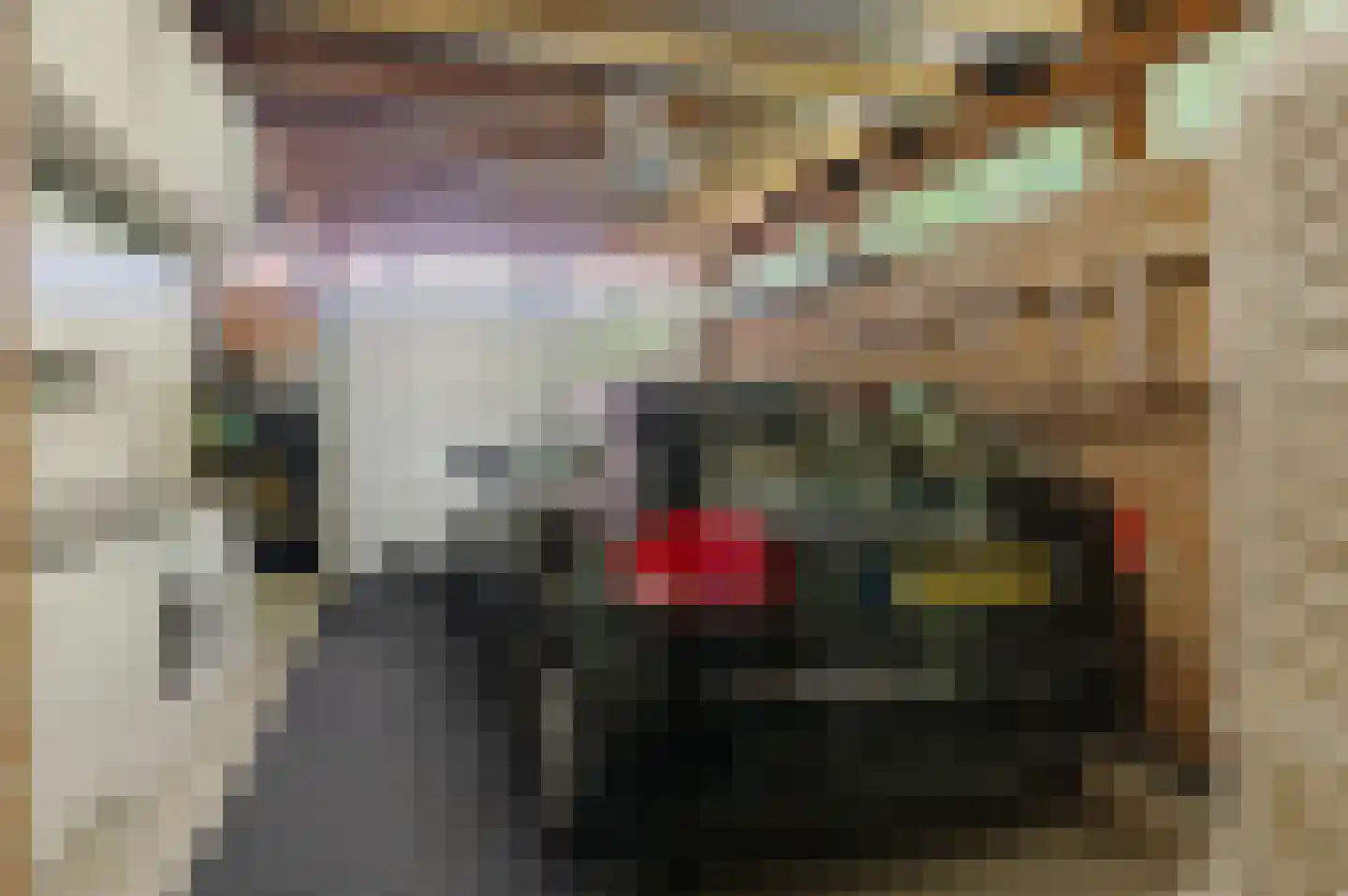 Rembrandtlaan 5 Nieuwe Pekela thumbnail 39