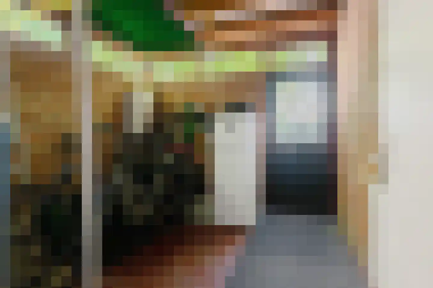 Rembrandtlaan 5 Nieuwe Pekela thumbnail 41
