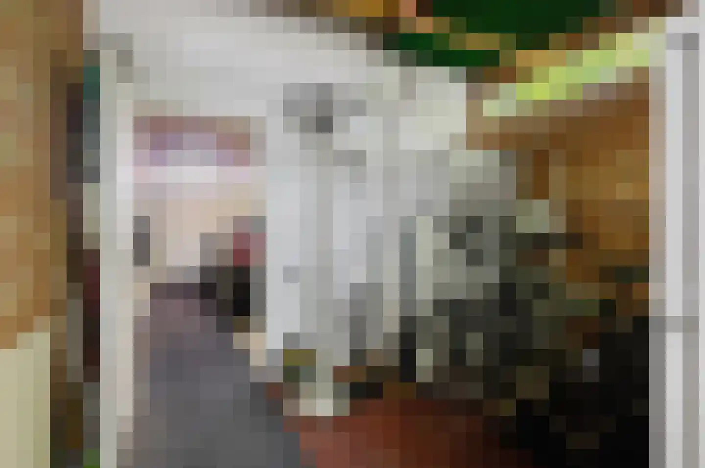 Rembrandtlaan 5 Nieuwe Pekela thumbnail 42