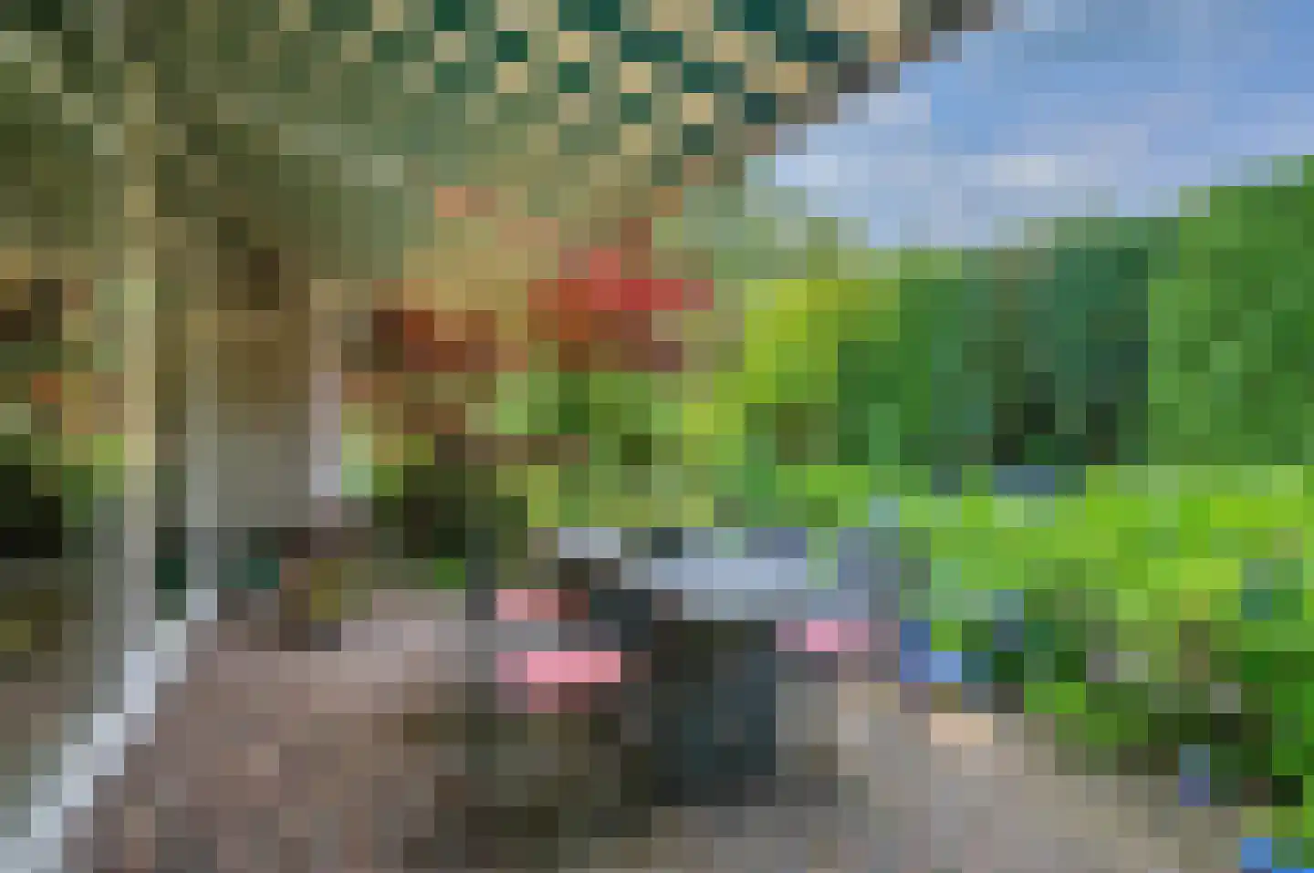 Rembrandtlaan 5 Nieuwe Pekela thumbnail 43