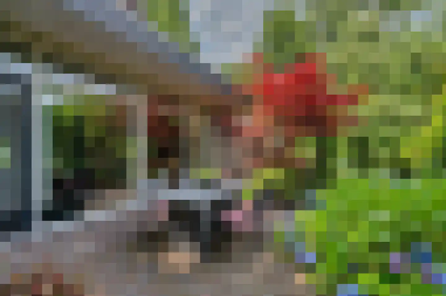Rembrandtlaan 5 Nieuwe Pekela thumbnail 45