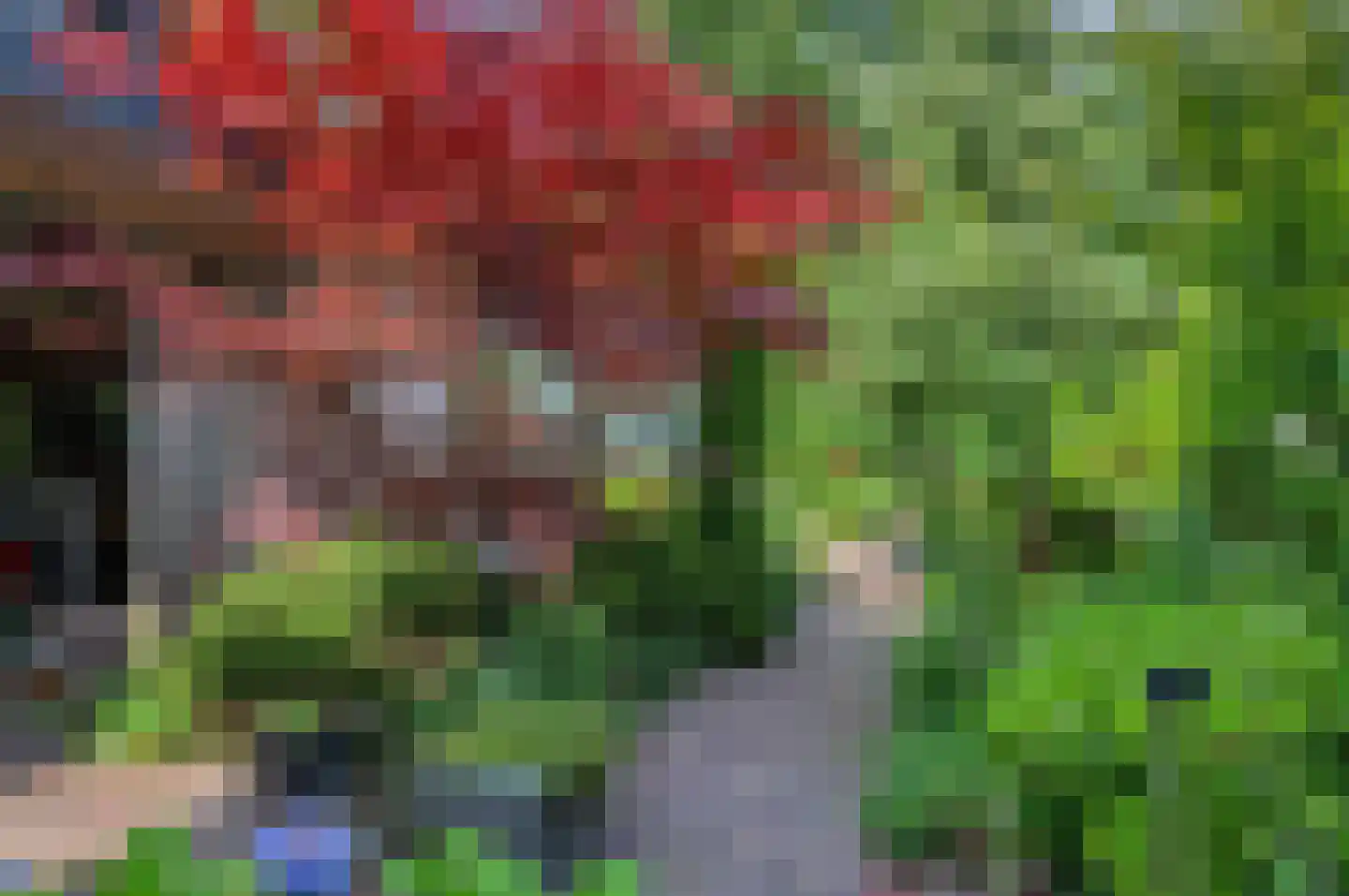 Rembrandtlaan 5 Nieuwe Pekela thumbnail 46