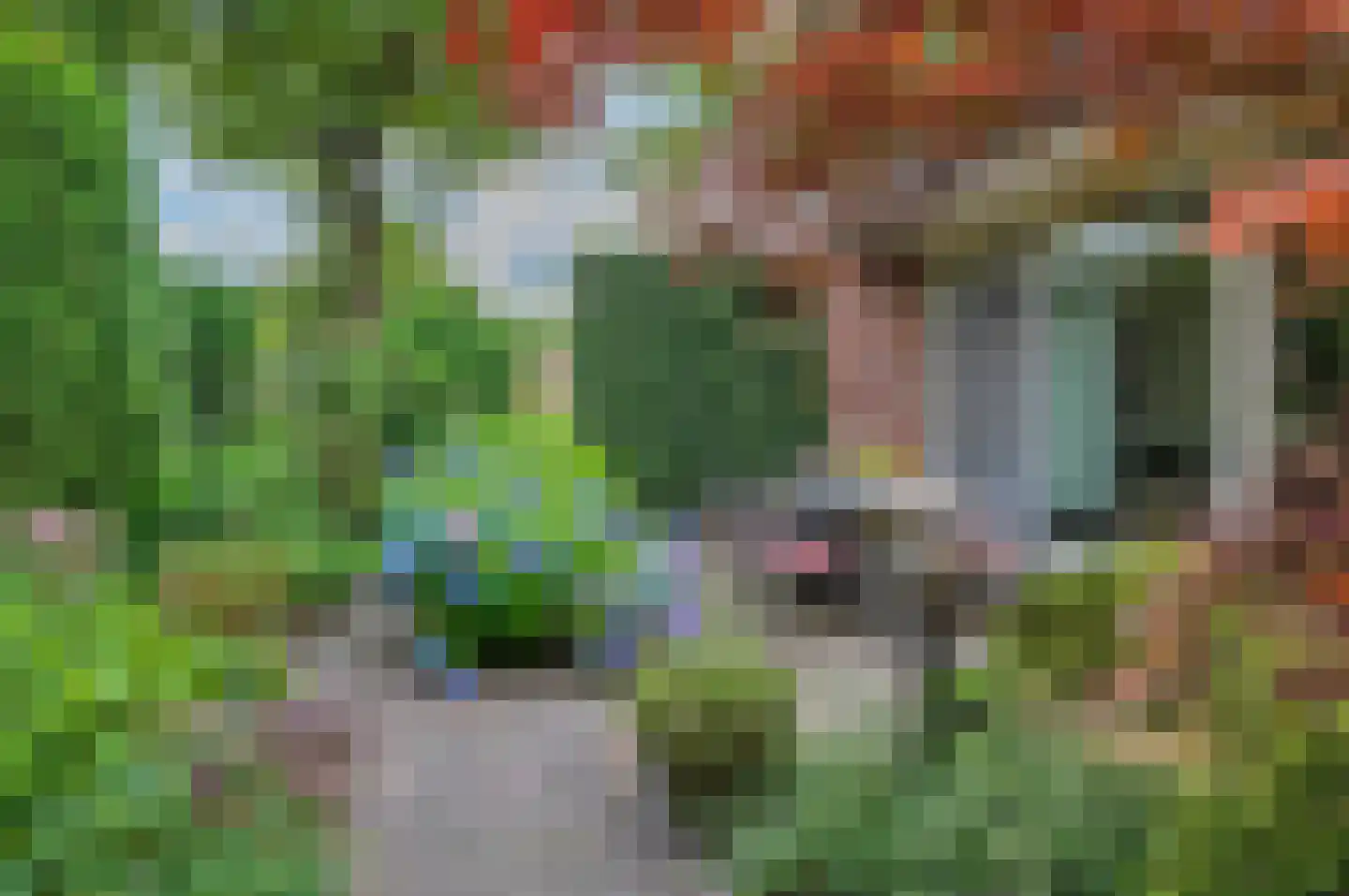 Rembrandtlaan 5 Nieuwe Pekela thumbnail 48