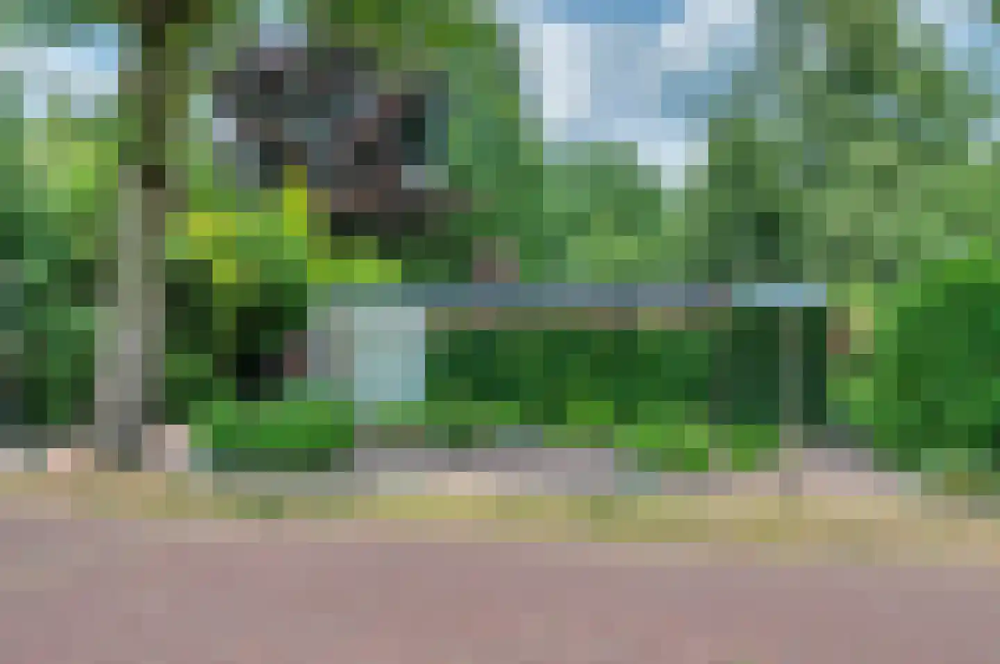 Rembrandtlaan 5 Nieuwe Pekela thumbnail 5