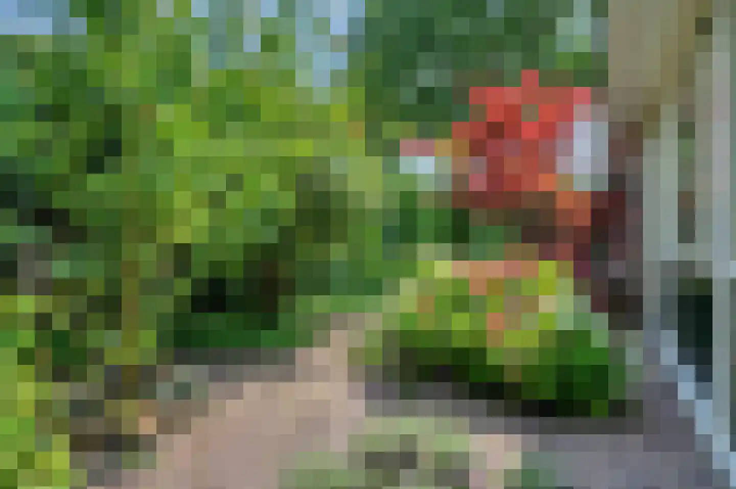 Rembrandtlaan 5 Nieuwe Pekela thumbnail 52