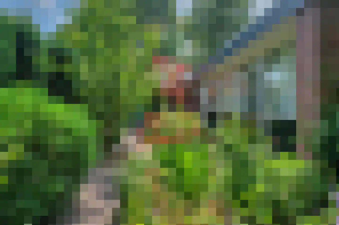 Rembrandtlaan 5 Nieuwe Pekela thumbnail 53
