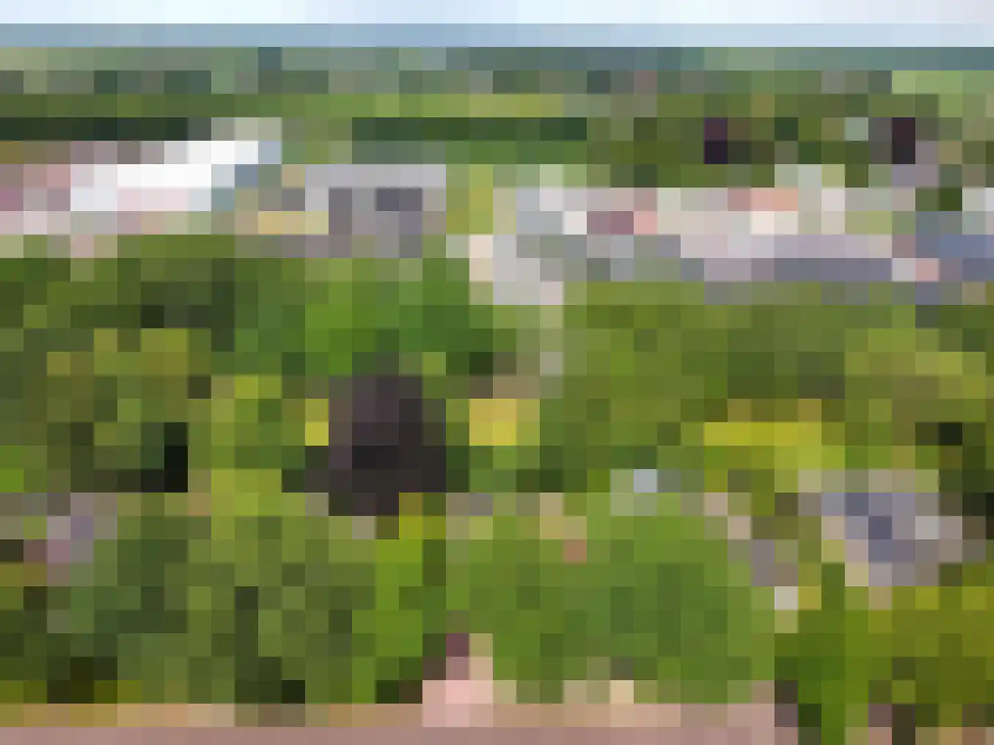 Rembrandtlaan 5 Nieuwe Pekela thumbnail 64
