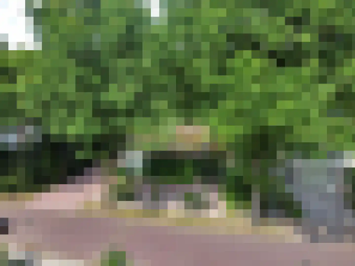 Rembrandtlaan 5 Nieuwe Pekela thumbnail 8