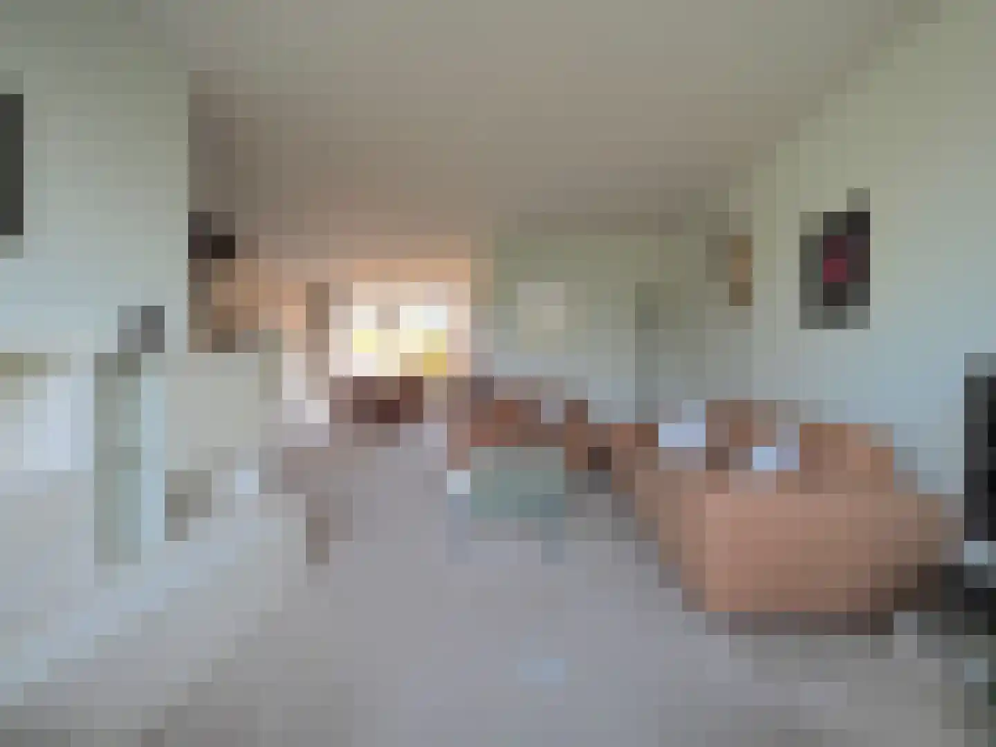 Rembrandtlaan 5 Papendrecht thumbnail 13