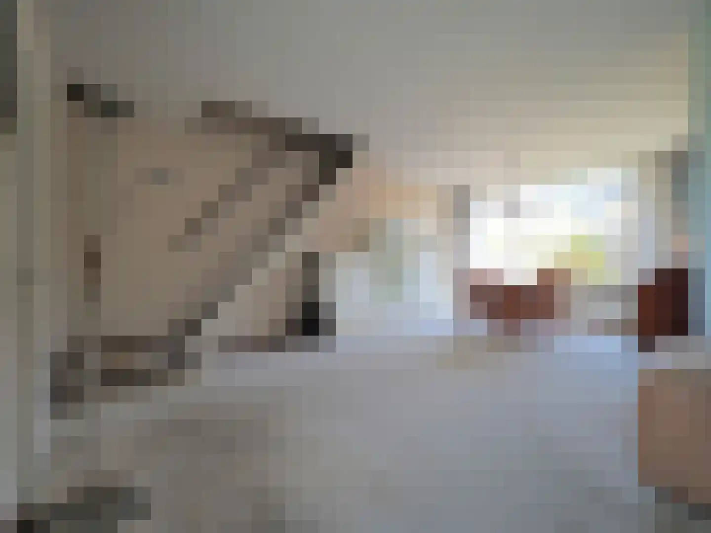 Rembrandtlaan 5 Papendrecht thumbnail 14