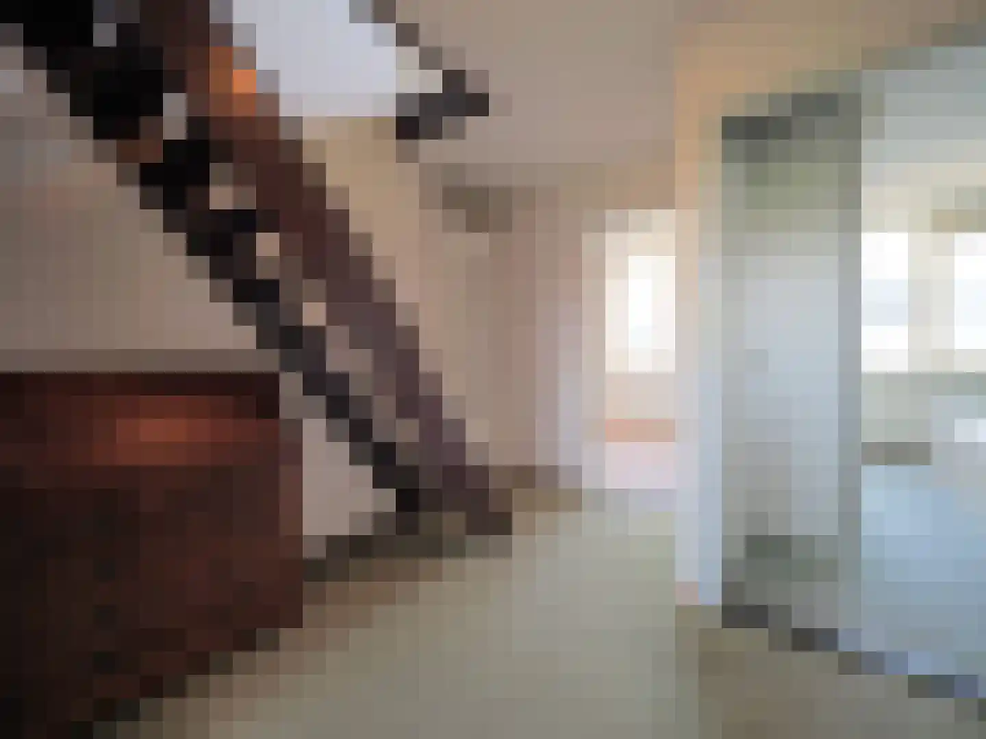 Rembrandtlaan 5 Papendrecht thumbnail 19