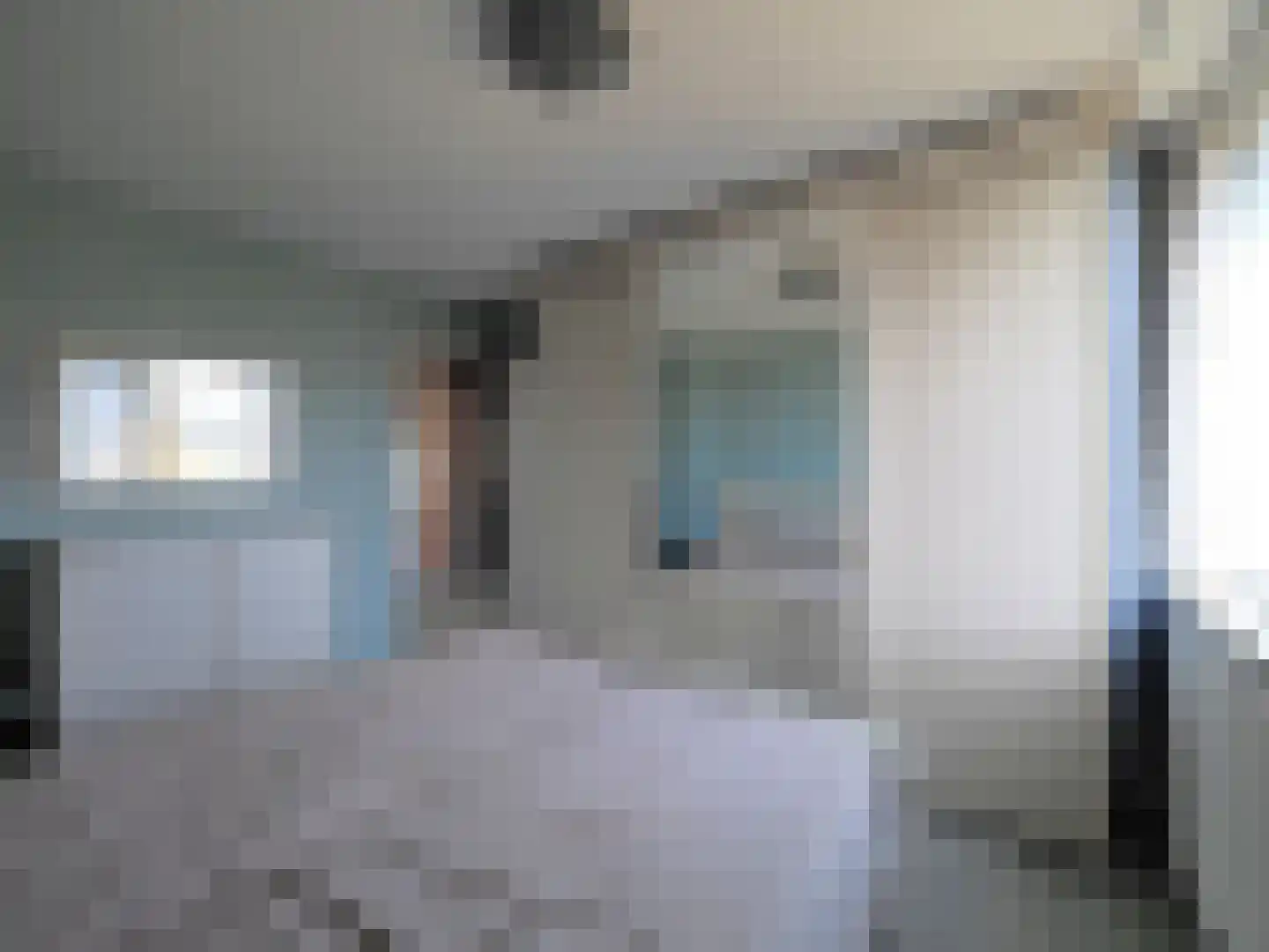 Rembrandtlaan 5 Papendrecht thumbnail 22