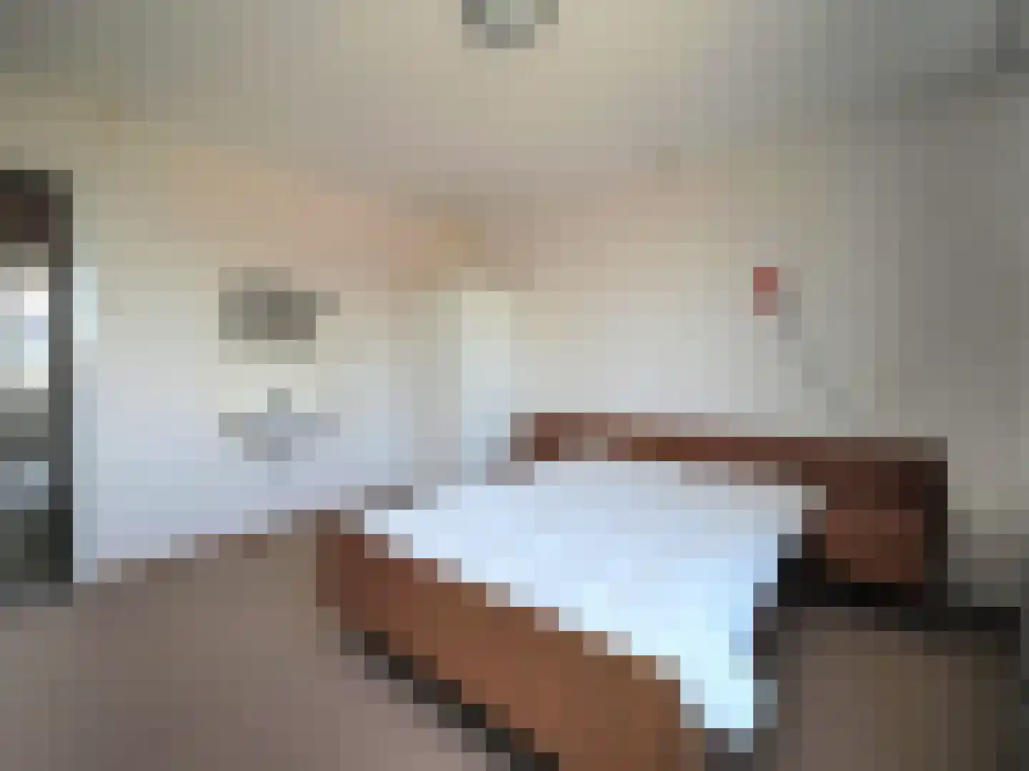 Rembrandtlaan 5 Papendrecht thumbnail 24