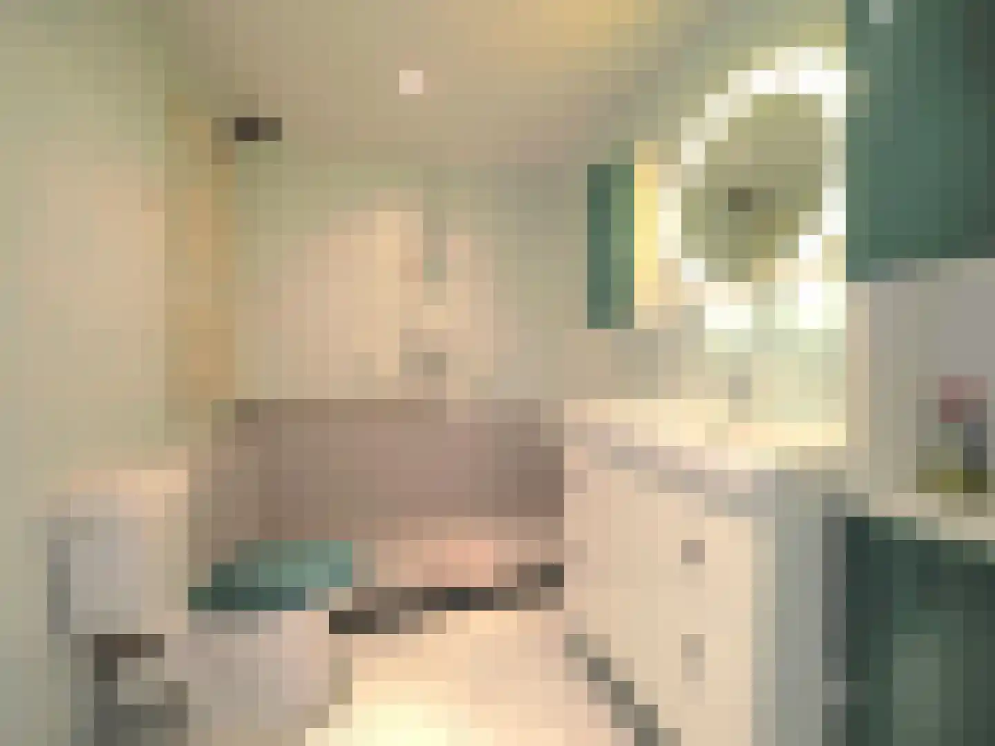 Rembrandtlaan 5 Papendrecht thumbnail 31