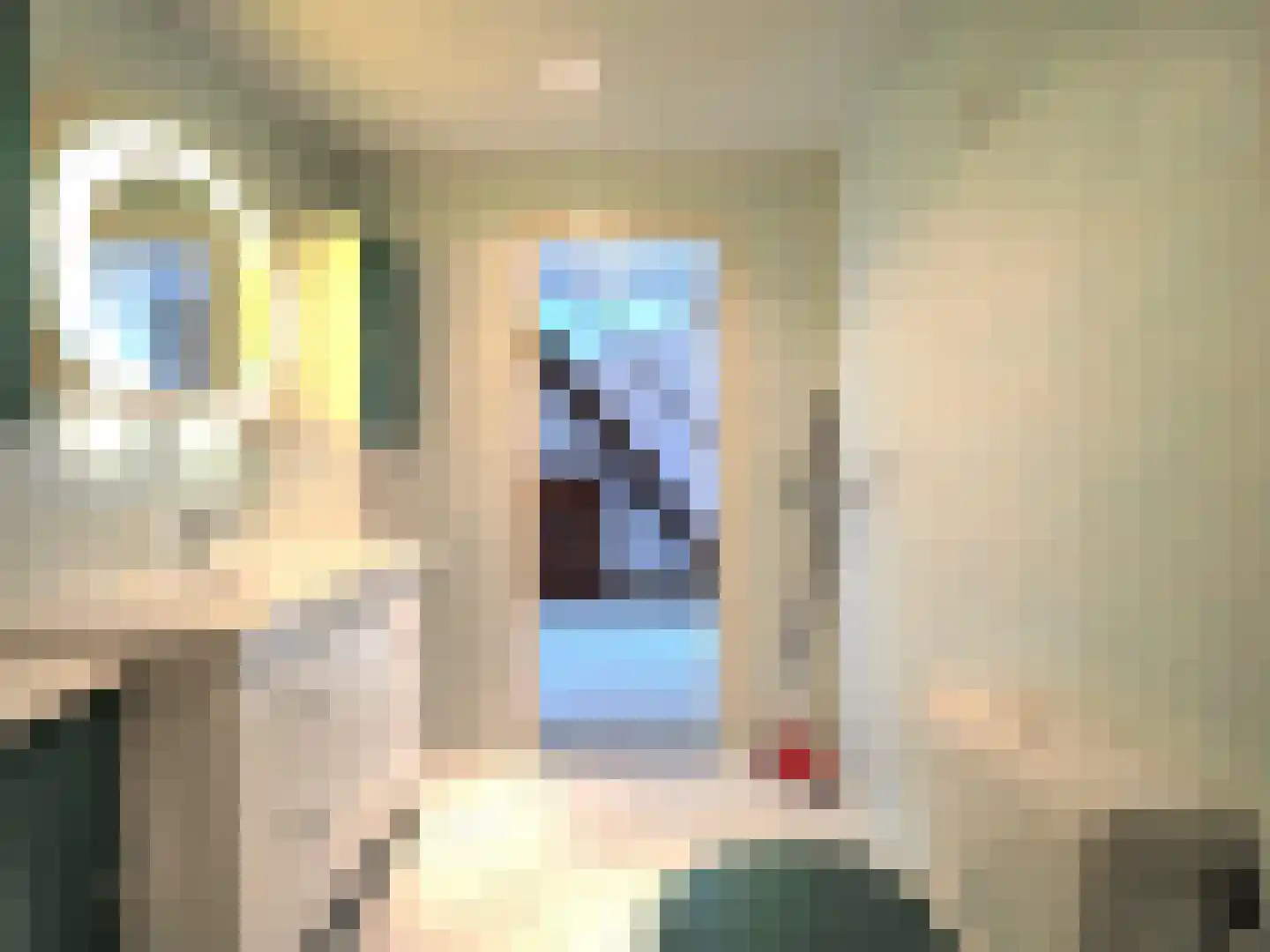 Rembrandtlaan 5 Papendrecht thumbnail 32
