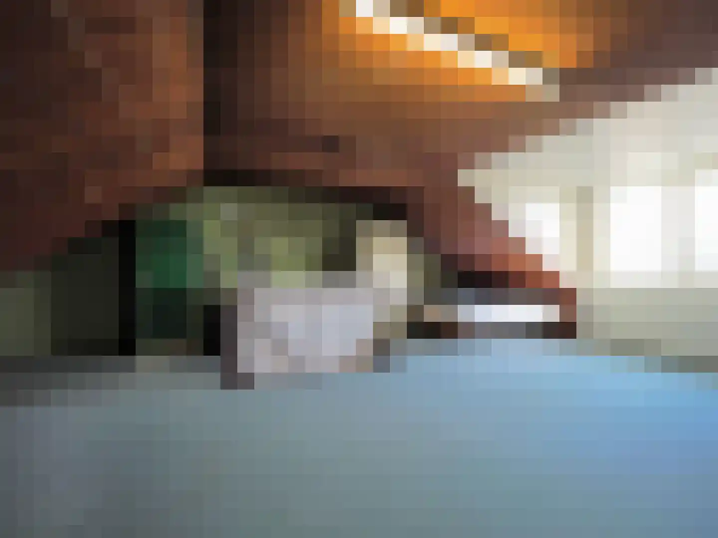 Rembrandtlaan 5 Papendrecht thumbnail 33
