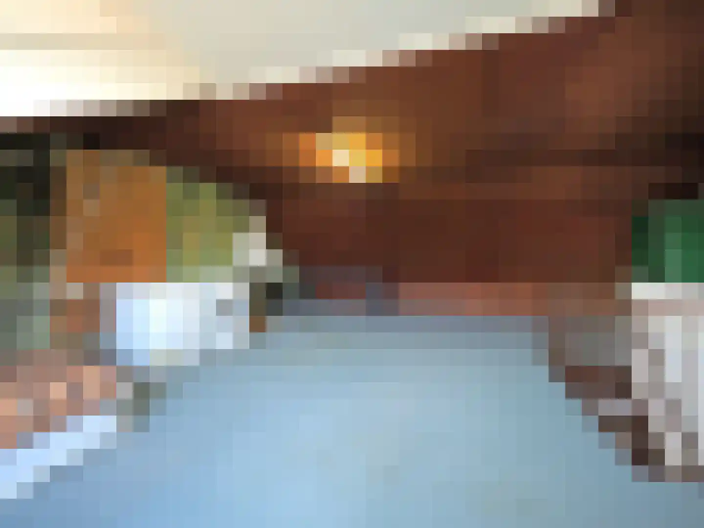 Rembrandtlaan 5 Papendrecht thumbnail 35