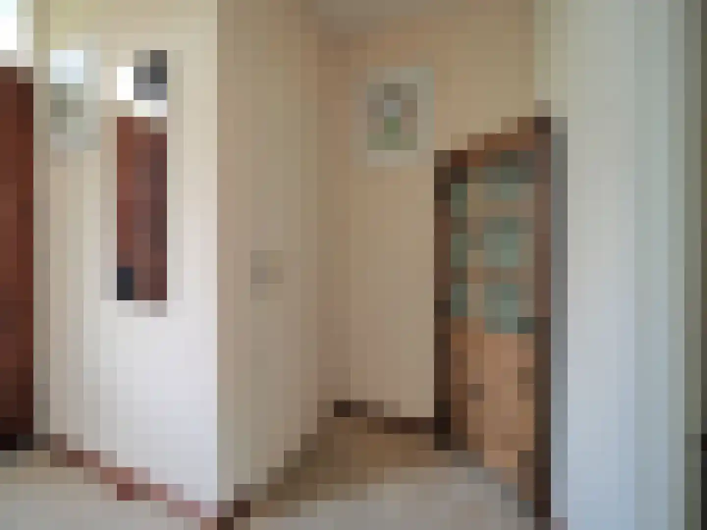Rembrandtlaan 5 Papendrecht thumbnail 6