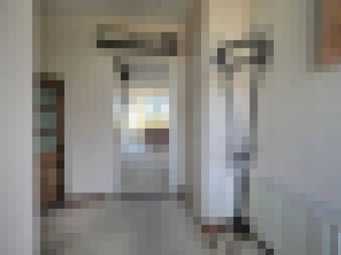 Rembrandtlaan 5 Papendrecht thumbnail 7