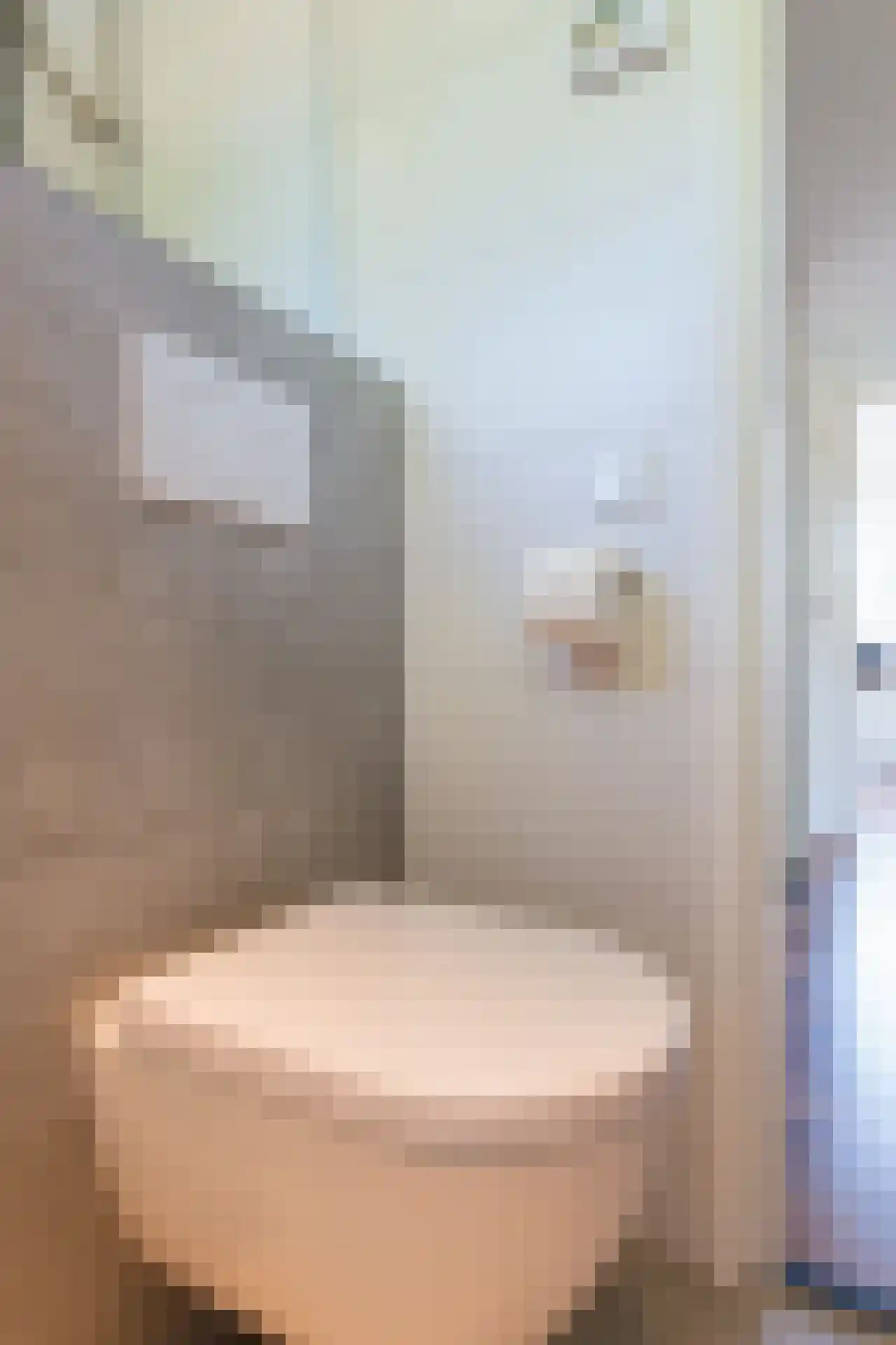 Rembrandtlaan 51 Geleen thumbnail 31