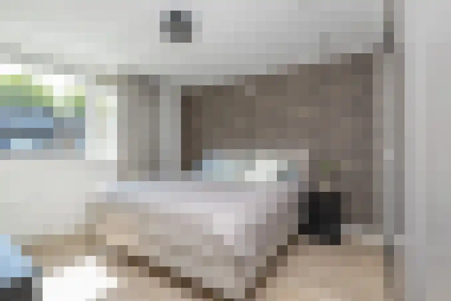 Rembrandtlaan 51 Middelharnis thumbnail 12