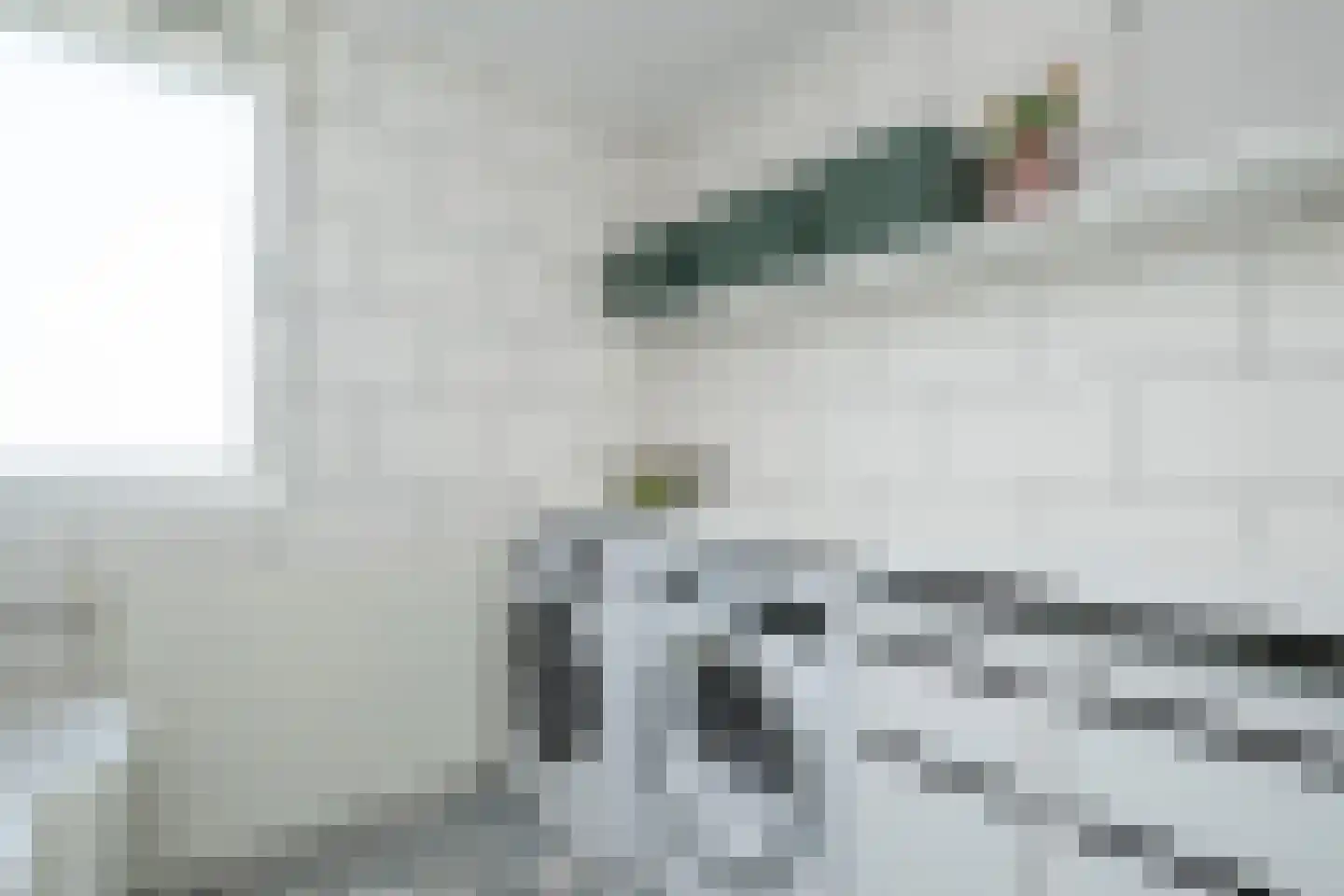 Rembrandtlaan 51 Middelharnis thumbnail 19