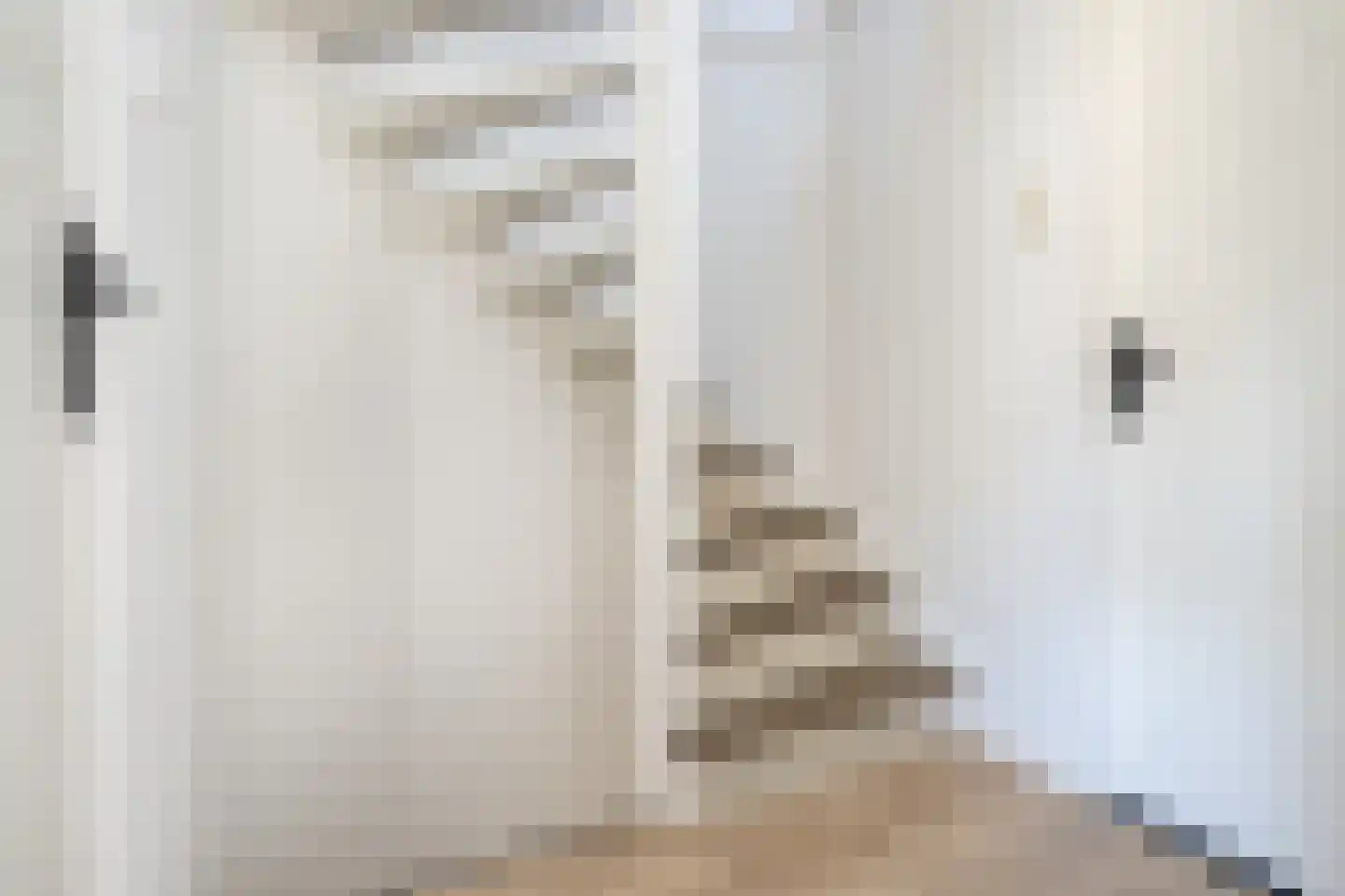 Rembrandtlaan 51 Middelharnis thumbnail 20