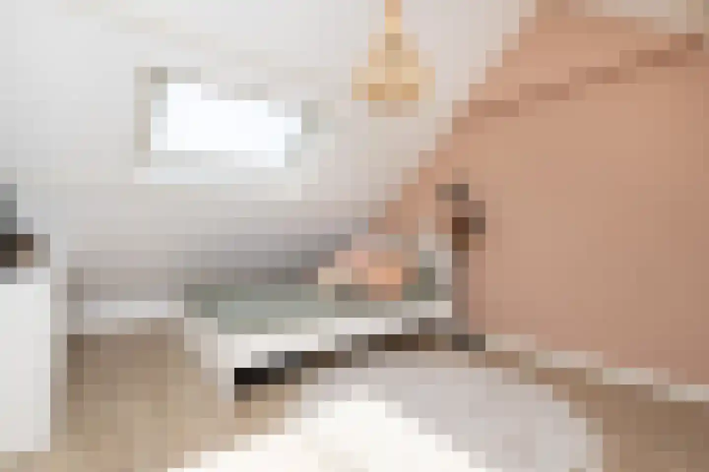 Rembrandtlaan 51 Middelharnis thumbnail 22