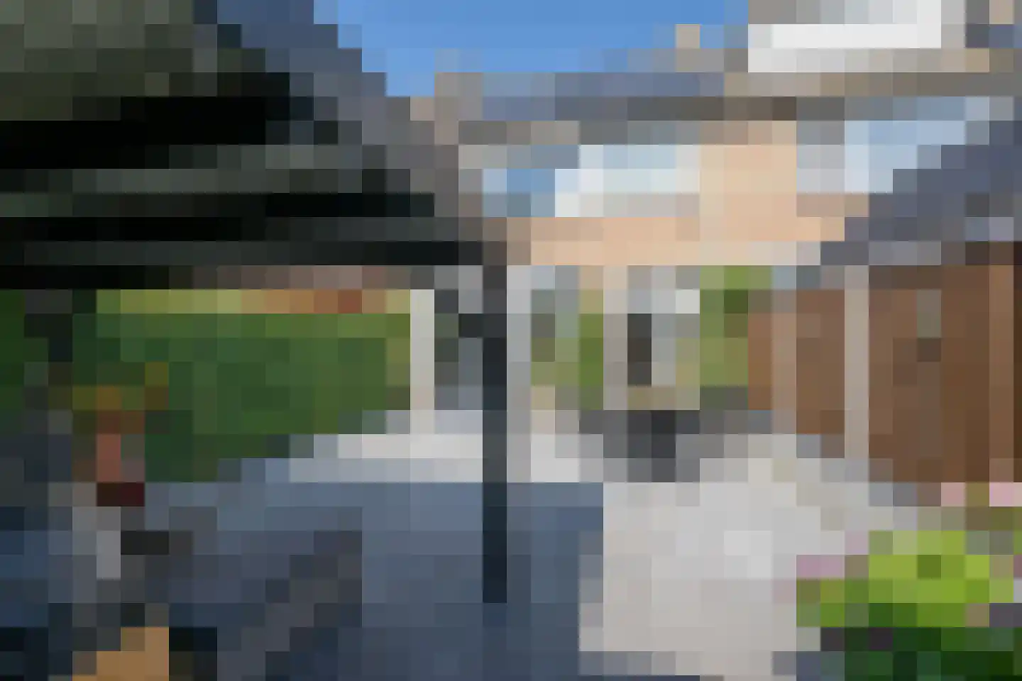 Rembrandtlaan 51 Middelharnis thumbnail 28
