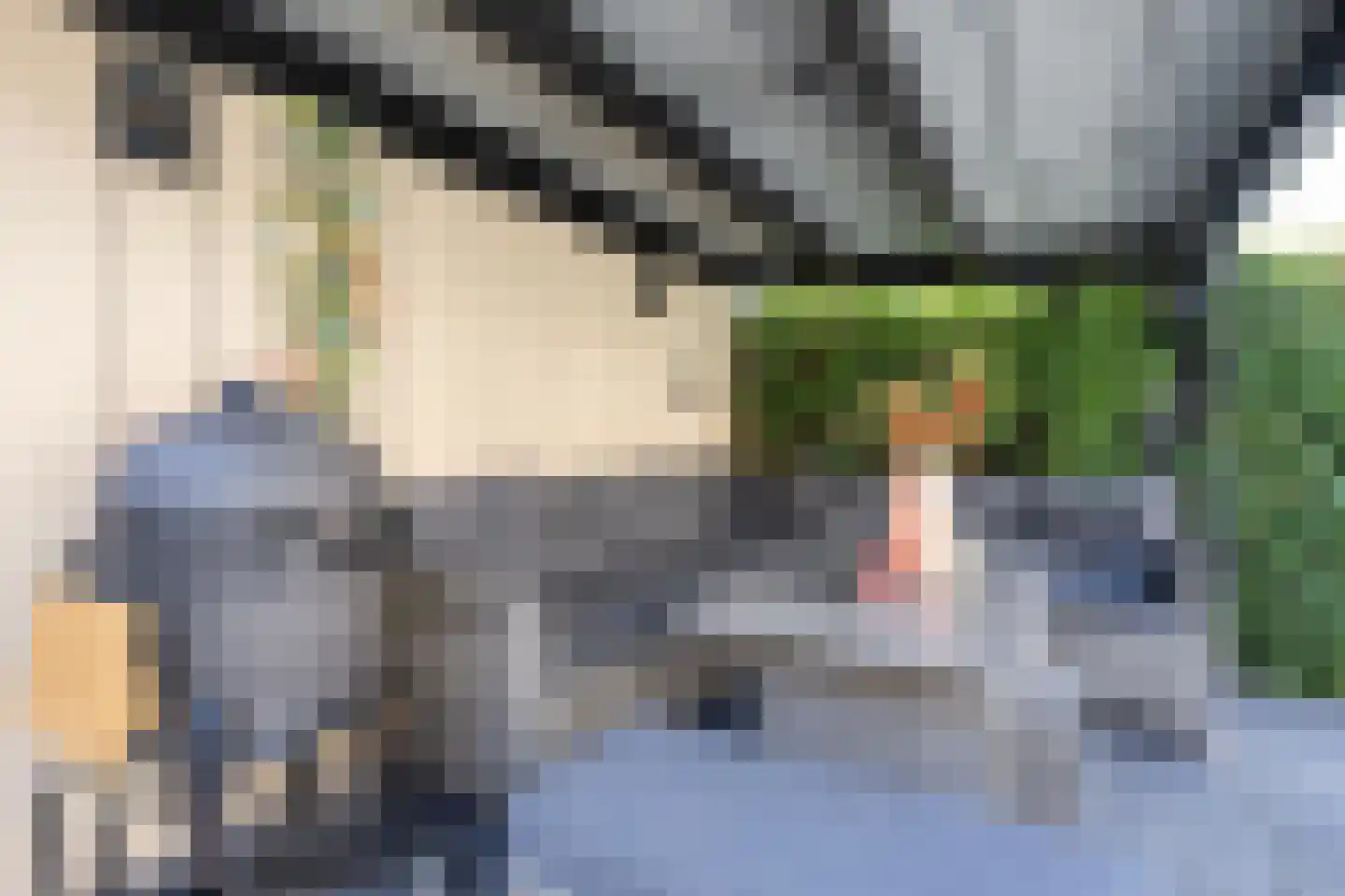Rembrandtlaan 51 Middelharnis thumbnail 29
