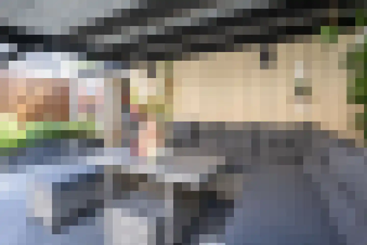 Rembrandtlaan 51 Middelharnis thumbnail 30