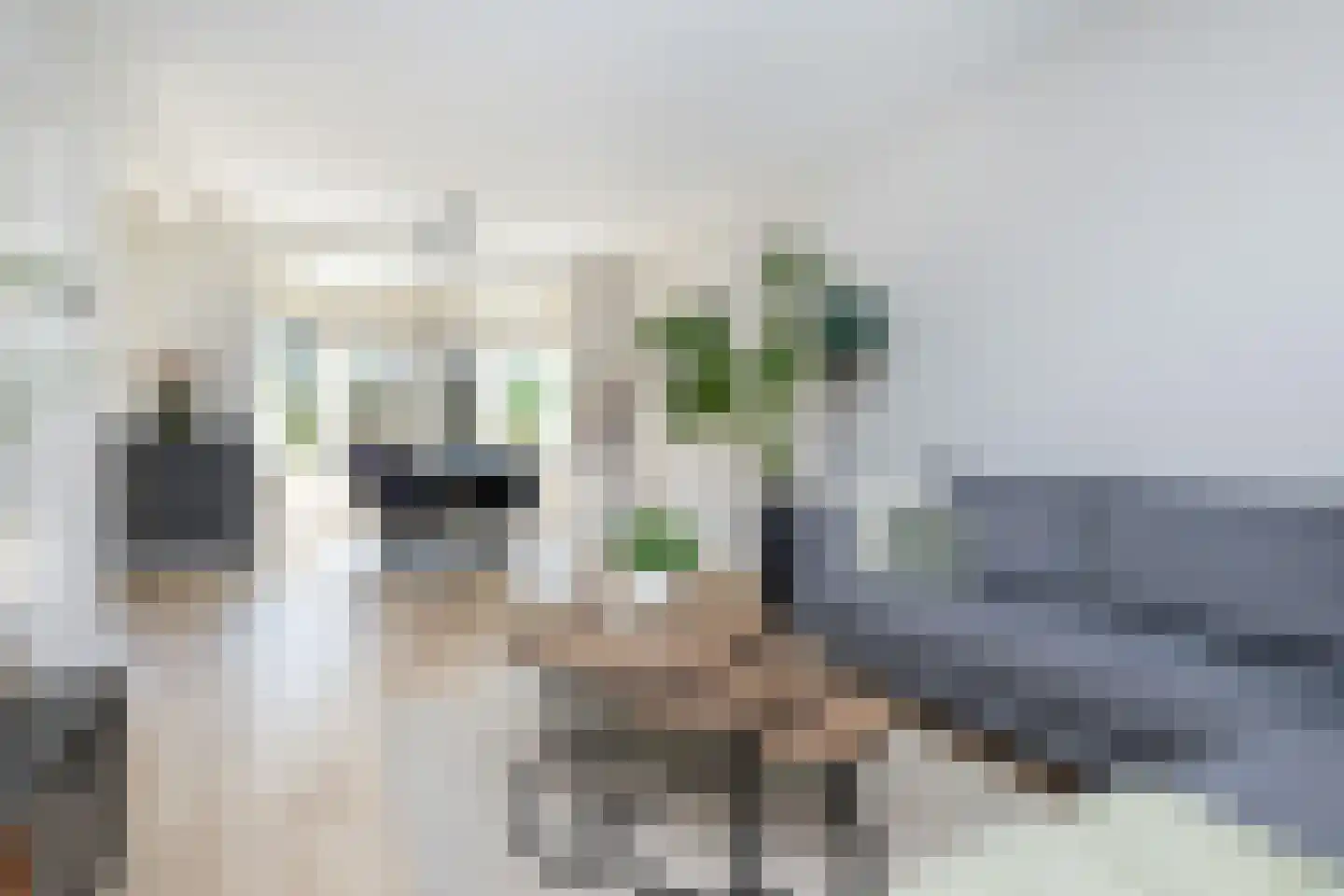 Rembrandtlaan 51 Middelharnis thumbnail 6